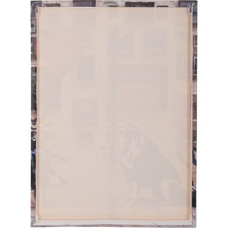 ΠΙΝΑΚΑΣ TOIXOY ΣΕΙΡΑ GOBI HM4828 ΕΚΤΥΠΩΜΕΝΟΣ ΚΑΜΒΑΣ 50x2,5(πάχος)x68Υεκ.