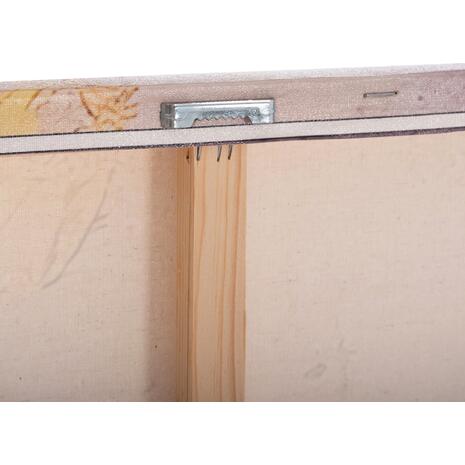 ΠΙΝΑΚΑΣ TOIXOY ΣΕΙΡΑ GOBI HM4859 ΕΚΤΥΠΩΜΕΝΟΣ ΚΑΜΒΑΣ 98x2,5(πάχος)x68Υεκ.