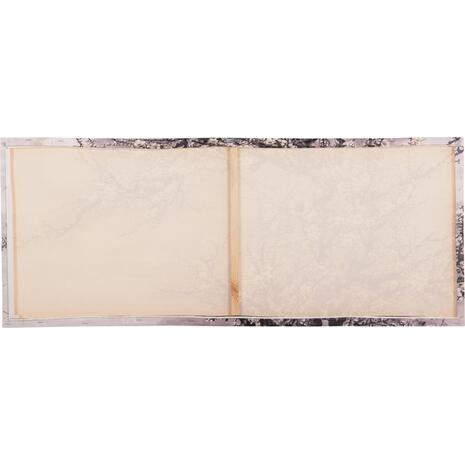 ΠΙΝΑΚΑΣ TOIXOY ΣΕΙΡΑ GOBI HM4796 ΕΚΤΥΠΩΜΕΝΟΣ ΚΑΜΒΑΣ 120x2,5(πάχος)x49Υεκ.