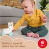 Fisher Price Ξύλινο Λαγουδάκι (JDM52)
