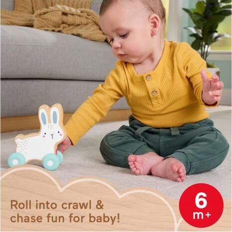 Fisher Price Ξύλινο Λαγουδάκι (JDM52)