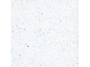 Χαρτί χειροτεχνίας eva glitter 2mm A4 (21x30cm) λευκό (Λευκό)