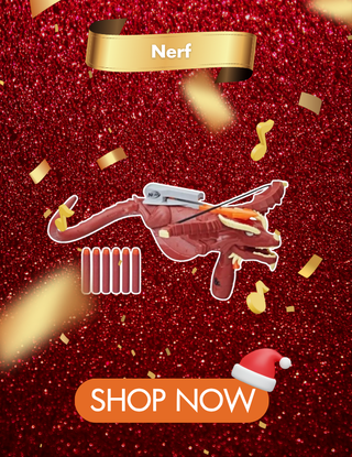 nerf_261125