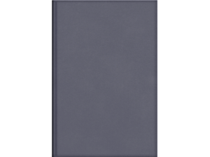 Ημερολόγιο ημερήσιο TWF 2026 All Times 300 δερματίνη 13,8x20,4cm Γκρι