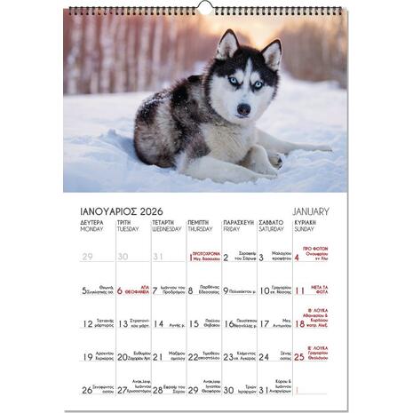 Ημερολόγιο τοίχου σπιράλ μηνιαίο Linardatos 2026 "Γατάκια - Σκυλάκια" 21x29cm 65005