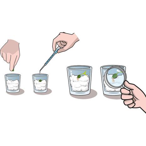 Μαθαίνω & Δημιουργώ Ο Κήπος Μου (1026-63408)