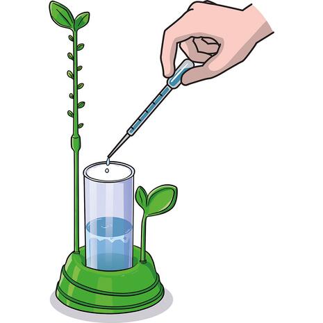 Μαθαίνω & Δημιουργώ Ο Κήπος Μου (1026-63408)