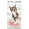 Ημερολόγιο τοίχου 2026 17x33cm - «Αγαπώ ένα Γατάκι»