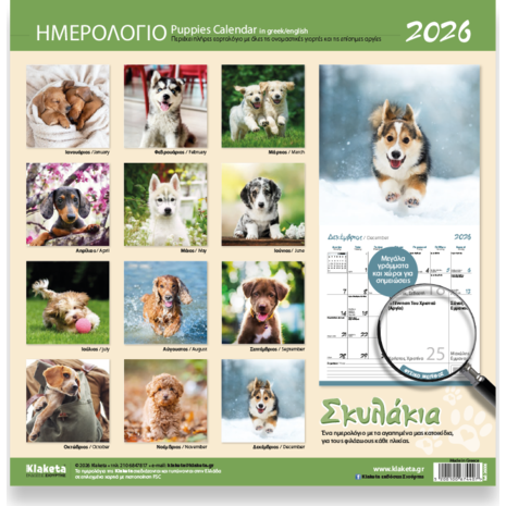 Ημερολόγιο τοίχου 2026 30x30cm - «Σκυλάκια»