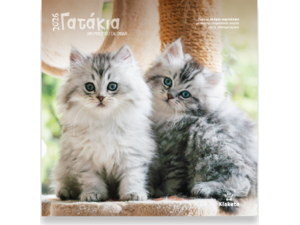 Ημερολόγιο τοίχου 2026 30x30cm - «Γατάκια»