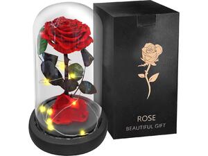 Παντοτινό Τριαντάφυλλο σε Γυάλα 22x14cm