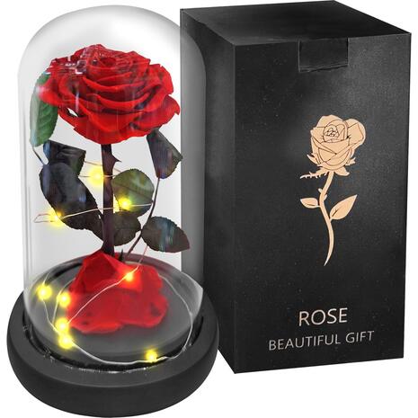 Παντοτινό Τριαντάφυλλο σε Γυάλα 22x14cm