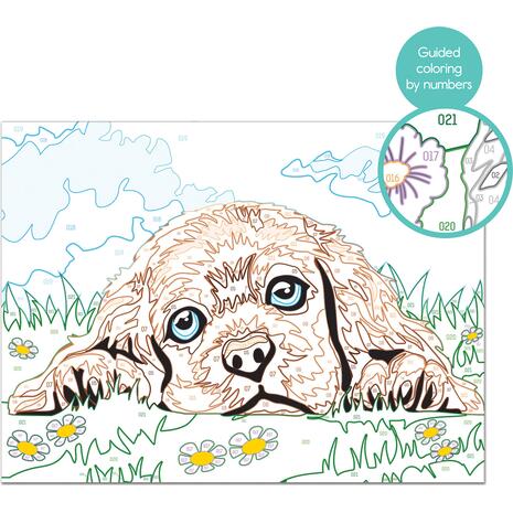 Paint And Frame Ζωγραφίζω Με Αριθμούς Loving Puppy