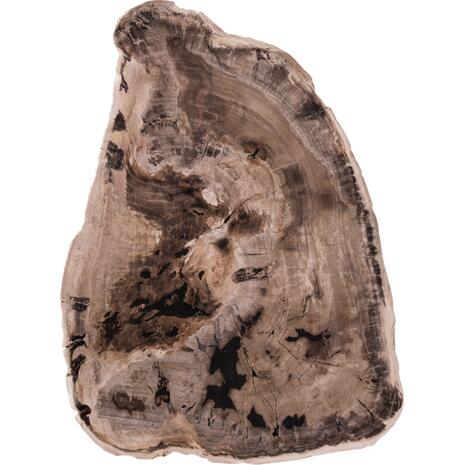 ΤΡΑΠΕΖΙ ΣΑΛΟΝΙΟΥ SAMAN HM9930 ΜΑΥΡΑ ΜΕΤΑΛΛΙΚΑ ΠΟΔΙΑ-TOP ΑΠΟΛΙΘΩΜΕΝΟΥ ΞΥΛΟΥ 76x53x45Υεκ