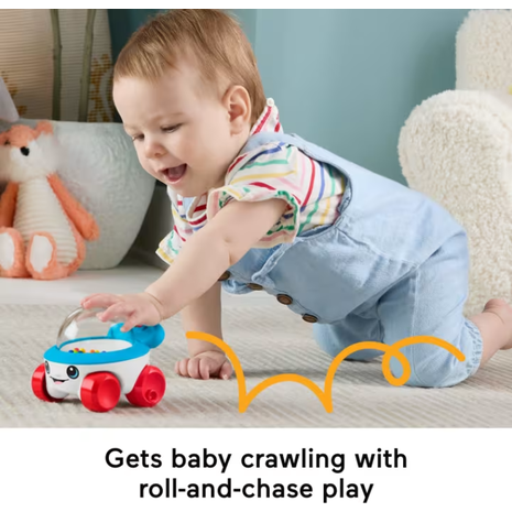 Fisher-Price Κουδουνίστρες Ζωάκια - Ασπρόμαυρος Ασβός JKW53/JKW57