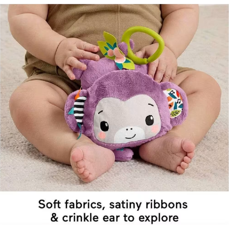 Mattel Fisher-Price Κρεμαστό Μαϊμουδάκι Με Μουσική JFF02