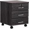 ΣΥΡΤΑΡΙΕΡΑ ΓΡΑΦΕΙΟΥ HAYDEN HM2282.01 ΣΕ ΑΝΘΡΑΚΙ ΧΡΩΜΑ 39.5x40x46.5Υεκ