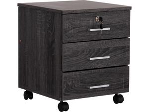 ΣΥΡΤΑΡΙΕΡΑ ΓΡΑΦΕΙΟΥ HAYDEN HM2282.01 ΣΕ ΑΝΘΡΑΚΙ ΧΡΩΜΑ 39.5x40x46.5Υεκ