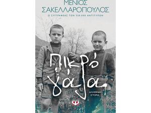 Πικρό γάλα - Μένιος Σακελλαρόπουλος (978-618-01-3198-7)