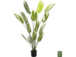 ΔΙΑΚΟΣΜΗΤΙΚΟ ΣΥΝΘΕΤΙΚΟ ΦΥΤΟ HM7997 CALATHEA ΣΕ ΓΛΑΣΤΡΑ 140Υεκ.