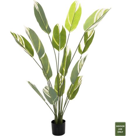 ΔΙΑΚΟΣΜΗΤΙΚΟ ΣΥΝΘΕΤΙΚΟ ΦΥΤΟ HM7997 CALATHEA ΣΕ ΓΛΑΣΤΡΑ 140Υεκ.