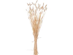 ΔΙΑΚΟΣΜΗΤΙΚΟ ΜΠΟΥΚΕΤΟ ΑΠΟΞΗΡΑΜΕΝΟ HM7959 RABBIT TAIL- CREAM 50gr 76Υεκ.