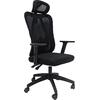 ΚΑΡΕΚΛΑ ΓΡΑΦΕΙΟΥ MEXER HM1195.01 ΜΑΥΡΟ MESH-PP ΒΑΣΗ 68x70x136Υεκ.