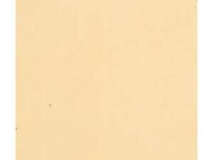 Χαρτί εκτύπωσης Next Α4 80gr 500 φύλλα σoμον