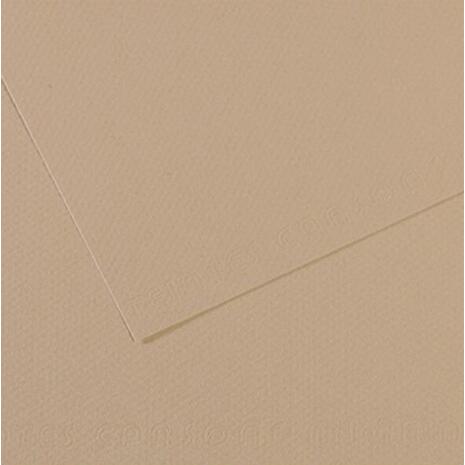 Χαρτί χειροτεχνίας CANSON Mi-Teintes Α4 160gr No 343 Pearl Grey