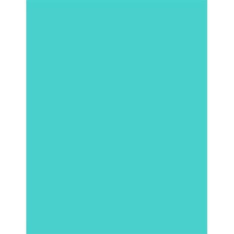 Χαρτί χειροτεχνίας CANSON Colorline 50x70cm 220gr No 25 Turquise Blue