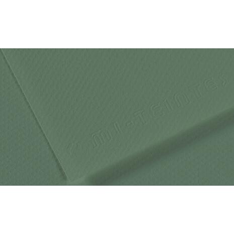 Χαρτί χειροτεχνίας CANSON Mi-Teintes Α4 160gr No 190 Sage Green