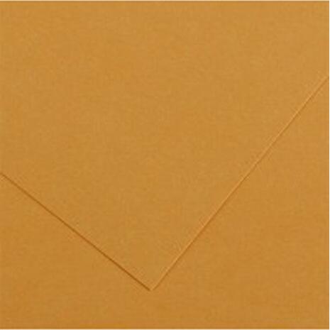 Χαρτί χειροτεχνίας CANSON Colorline 50x70cm 220gr No 32 Leather