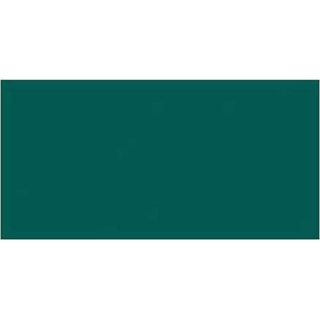 Χαρτί χειροτεχνίας CANSON Mi-Teintes 50x70 160gr No 575 Viridian Green