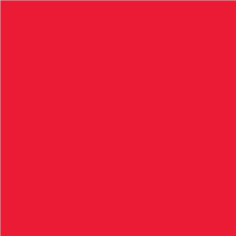 Χαρτόνι κολάζ FABRIANO 70x100cm 220gr κόκκινο