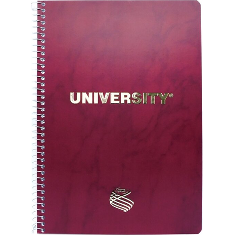 Τετράδιο σπιράλ Skag University Gold Α4 2 θεμάτων 100 Φύλλων No9082 (Διάφορα σχέδια)