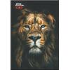 Τετράδιο καρφίτσα BMU No Fear Africa 17x25cm 40 φύλλων σε διάφορα σχέδια (348-00400) - Ανακάλυψε Τετράδια σχολικά για μαθητές και φοιτητές για το γραφείο ή το σπίτι από το Oikonomou-shop.gr.