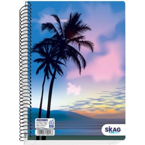 Τετράδιο σπιράλ Skag University Fun Boy 17x25 4 Θεμάτων Ν.9244 διάφορα σχέδια (300575)