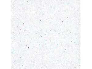 Χαρτί χειροτεχνίας eva glitter 2mm A4 (21x30cm) λευκό (Λευκό)