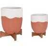 ΓΛΑΣΤΡΕΣ ΣΕΤ 2ΤΜΧ SEON HM4686.08 TERRACOTTA ΣΕ ΛΕΥΚΟ & ΤΕΡΑΚΟΤΑ--TEAK ΒΑΣΗ