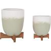 ΓΛΑΣΤΡΕΣ ΣΕΤ 2ΤΜΧ SEON HM4686.09 TERRACOTTA ΣΕ ΛΕΥΚΟ & ΠΡΑΣΙΝΟ--TEAK ΒΑΣΗ