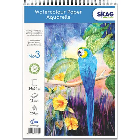 Μπλοκ ακουαρέλας Skag όρθιο σπιράλ No3 25x35cm 12 φύλλα 220gr (274869)