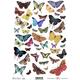 Ριζόχαρτο για Decoupage Next "butterflies 1" 21x29εκ. (ITD-R230) (1 τεμάχιο) - Ανακάλυψε όλα τα είδη που χρειάζεσαι για την αγαπημένη σου τεχνική Decoupage από το Oikonomou-shop.gr.