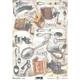 Ριζόχαρτο  για Decoupage Next "vintage" 21x29εκ. (ITD-R349) (1 τεμάχιο) - Ανακάλυψε όλα τα είδη που χρειάζεσαι για την αγαπημένη σου τεχνική Decoupage από το Oikonomou-shop.gr.