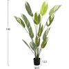 ΔΙΑΚΟΣΜΗΤΙΚΟ ΣΥΝΘΕΤΙΚΟ ΦΥΤΟ HM7997 CALATHEA ΣΕ ΓΛΑΣΤΡΑ 140Υεκ.