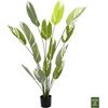 ΔΙΑΚΟΣΜΗΤΙΚΟ ΣΥΝΘΕΤΙΚΟ ΦΥΤΟ HM7997 CALATHEA ΣΕ ΓΛΑΣΤΡΑ 140Υεκ.