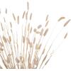 ΔΙΑΚΟΣΜΗΤΙΚΟ ΜΠΟΥΚΕΤΟ ΑΠΟΞΗΡΑΜΕΝΟ HM7959 RABBIT TAIL- CREAM 50gr 76Υεκ.