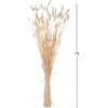 ΔΙΑΚΟΣΜΗΤΙΚΟ ΜΠΟΥΚΕΤΟ ΑΠΟΞΗΡΑΜΕΝΟ HM7959 RABBIT TAIL- CREAM 50gr 76Υεκ.