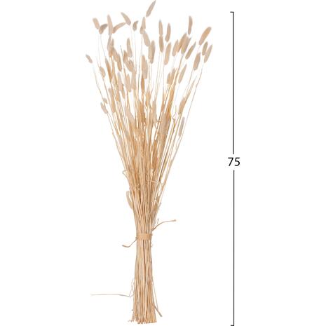 ΔΙΑΚΟΣΜΗΤΙΚΟ ΜΠΟΥΚΕΤΟ ΑΠΟΞΗΡΑΜΕΝΟ HM7959 RABBIT TAIL- CREAM 50gr 76Υεκ.