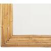 ΚΑΘΡΕΠΤΗΣ ΤΟΙΧΟΥ REFLECT HM4366 ΦΥΣΙΚΟ RATTAN 61x5x80Υεκ.