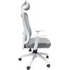 ΚΑΡΕΚΛΑ ΓΡΑΦΕΙΟΥ MEXER HM1195.02 ΓΚΡΙ MESH-PP ΒΑΣΗ-ΣΚΕΛΕΤΟΣ ΛΕΥΚΟΣ 68x70x136Υεκ.